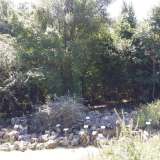 Roccaglia con flora tipicamente pugliese